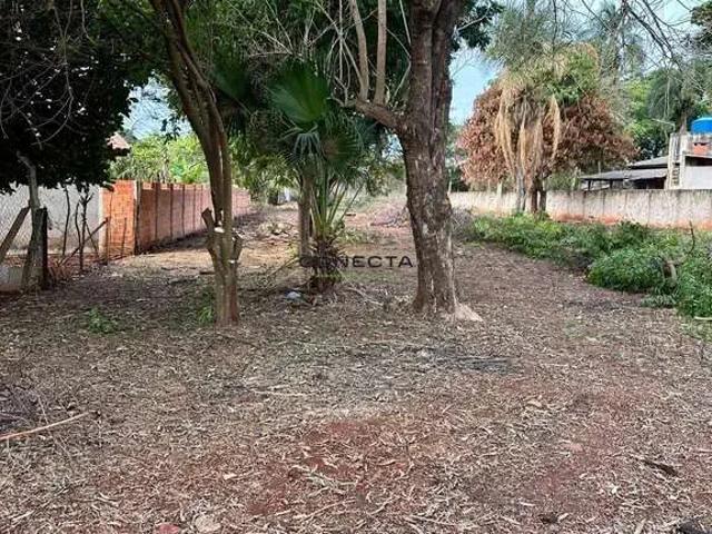 Sítio / Chácara para Venda em Alvorada do Sul/PR Balneário Porto Seguro