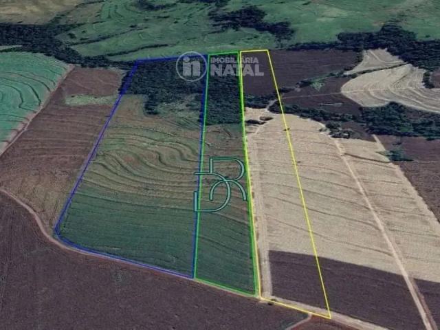 Sítio / Chácara para Venda em Alvorada do Sul/PR Zona Rural