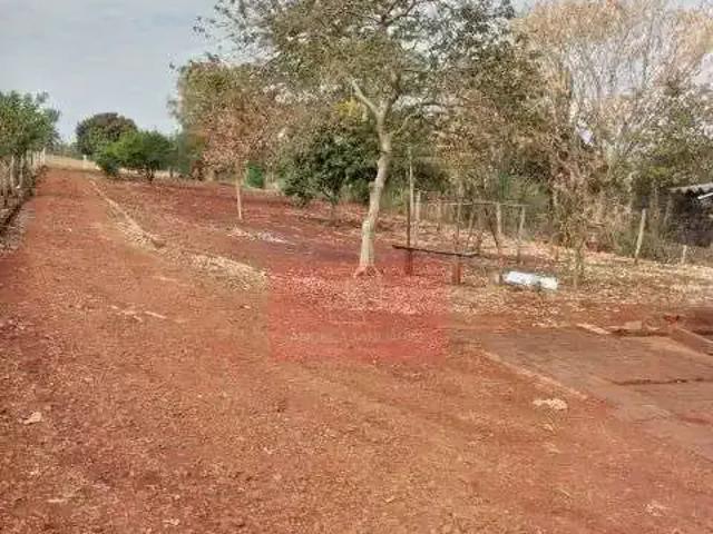 Sítio / Chácara para Venda em Alvorada do Sul/PR Zona Rural 1 Quartos