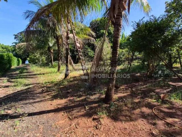 Sítio / Chácara para Venda em Alvorada do Sul/PR Zona Rural 1 Quartos