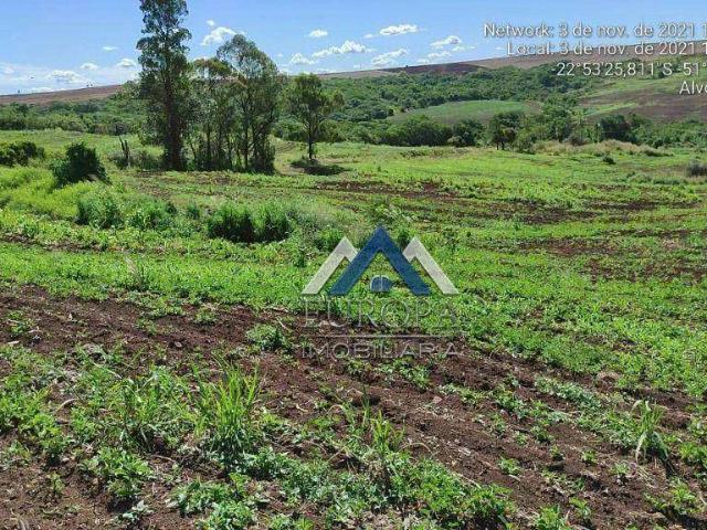 Sítio / Chácara para Venda em Alvorada do Sul/PR Zona Rural 2 Quartos