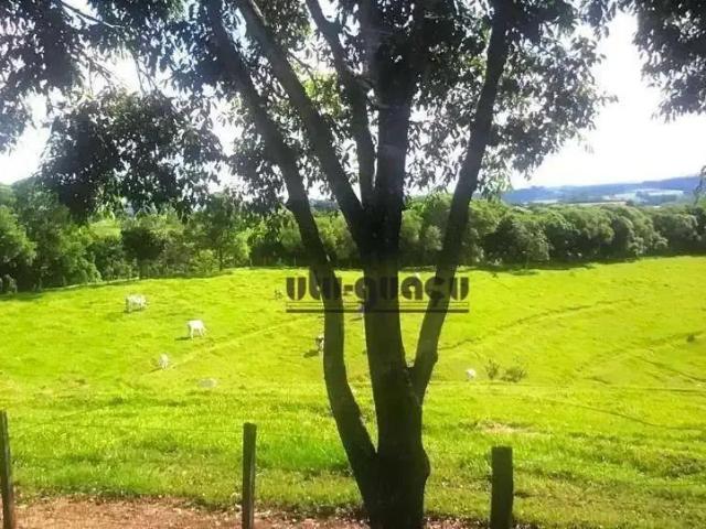 Sítio / Chácara para Venda em Alambari/SP Aterradinho