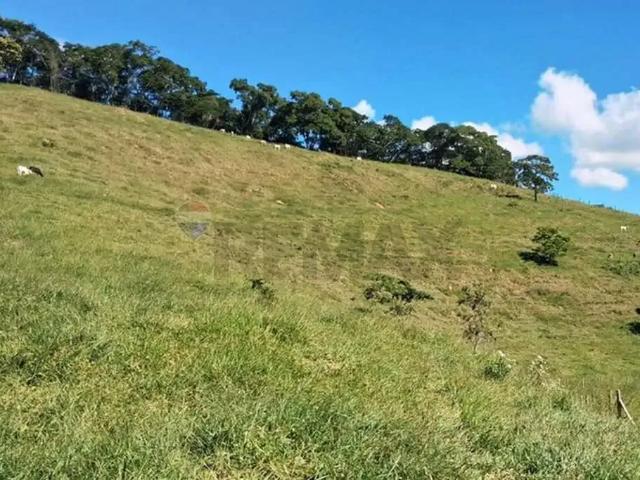 Sítio / Chácara para Venda em Além Paraíba/MG Centro