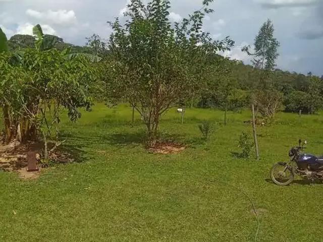 Sítio / Chácara para Venda em Alexânia/GO Centro 3 Quartos