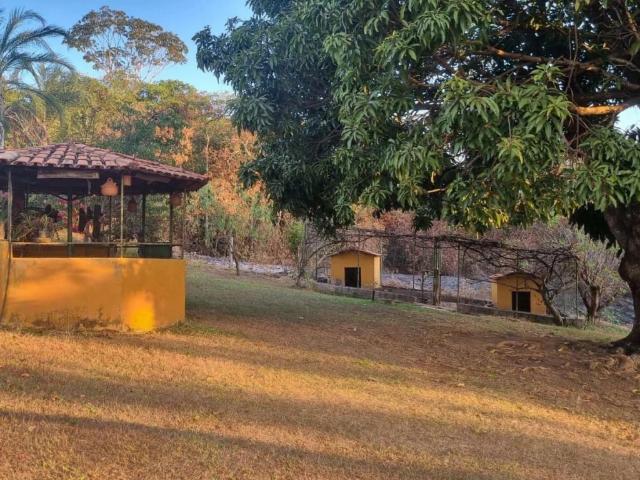 Sítio / Chácara para Venda em Alexânia/GO Centro 4 Quartos