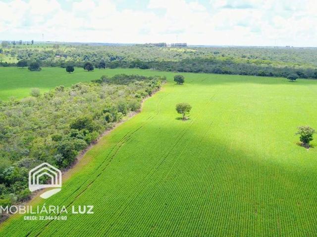 Sítio / Chácara para Venda em Alexânia/GO Centro 4 Quartos
