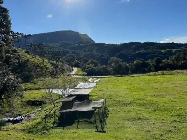 Sítio / Chácara para Venda em Alfredo Wagner/SC Zona Rural 3 Quartos