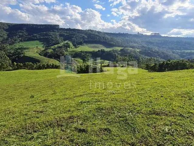 Sítio / Chácara para Venda em Alfredo Wagner/SC Zona Rural