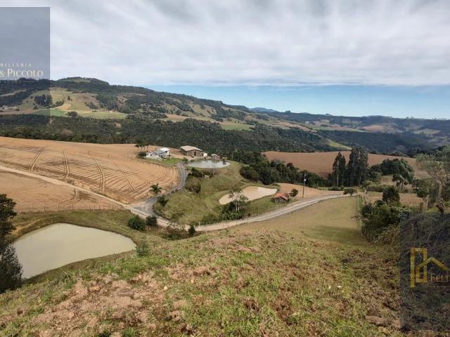 Sítio / Chácara para Venda em Alfredo Wagner/SC Centro