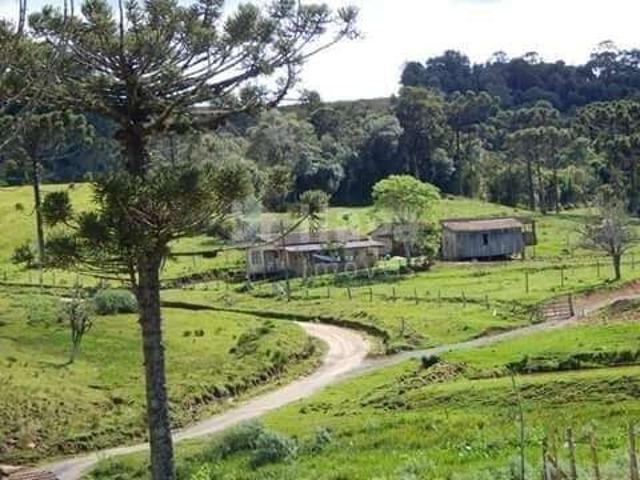 Sítio / Chácara para Venda em Alfredo Wagner/SC Lomba Alta 3 Quartos