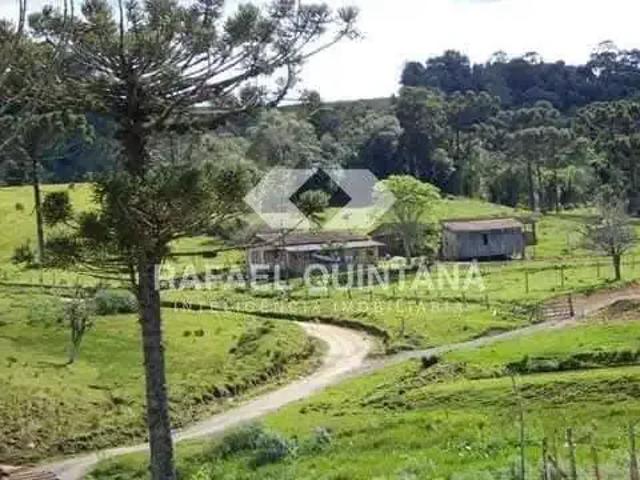 Sítio / Chácara para Venda em Alfredo Wagner/SC Lomba Alta 3 Quartos