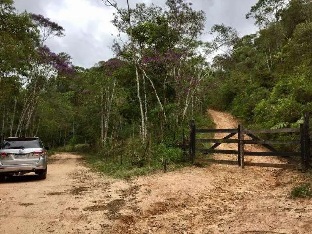 Sítio / Chácara para Venda em Alfredo Chaves/ES São Roque da Maravilha 4 Quartos