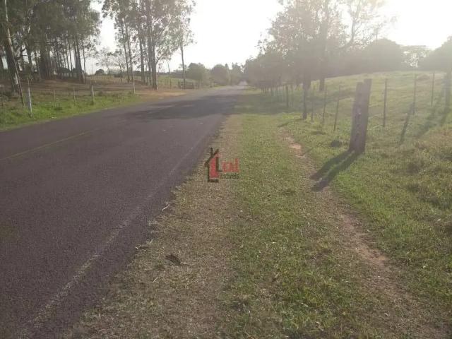 Sítio / Chácara para Venda em Alfredo Marcondes/SP Zona Rural 2 Quartos