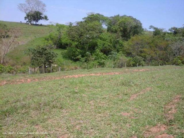 Sítio / Chácara para Venda em Alfredo Marcondes/SP Zona Rural 2 Quartos
