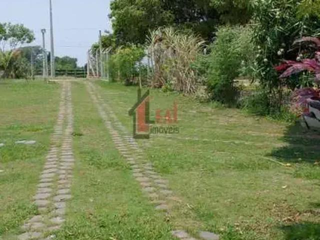 Sítio / Chácara para Venda em Alfredo Marcondes/SP Zona Rural 3 Quartos