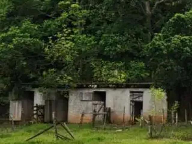 Sítio / Chácara para Venda em Alfredo Marcondes/SP Zona Rural