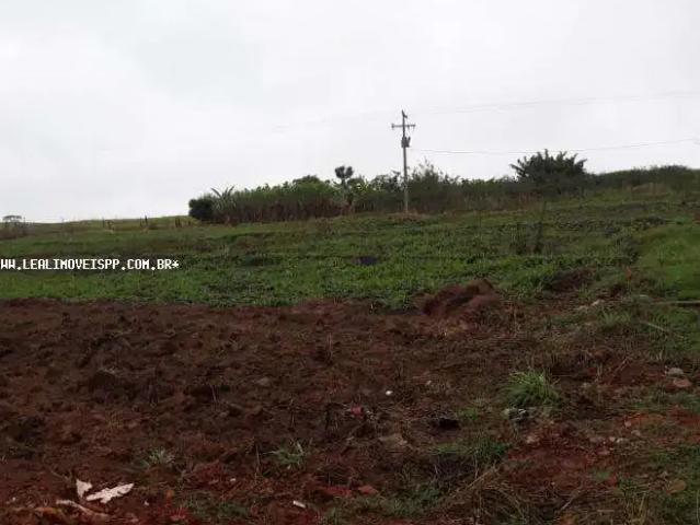 Sítio / Chácara para Venda em Alfredo Marcondes/SP Zona Rural