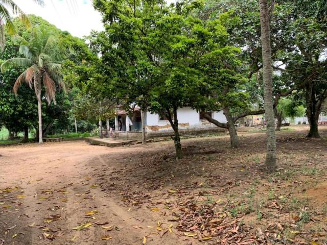 Sítio / Chácara para Venda em Alhandra/PB Centro 2 Quartos