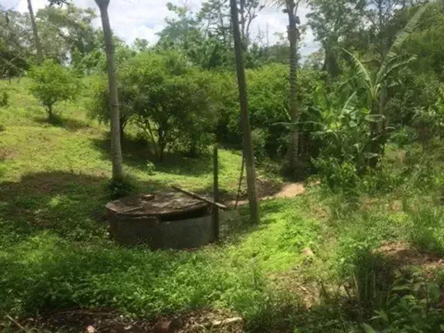 Sítio / Chácara para Venda em Aliança/PE Povoado Chã de Esconso 4 Quartos