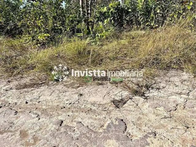 Sítio / Chácara para Venda em Almas/TO Zona Rural