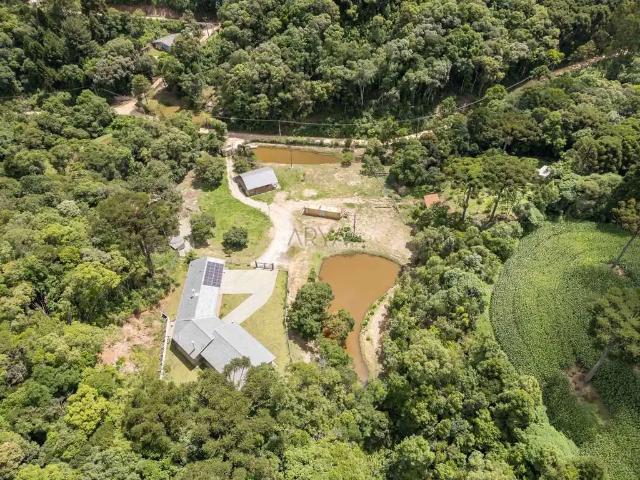 Sítio / Chácara para Venda em Almirante Tamandaré/PR Área Rural de Almirante Tamandaré 4 Quartos