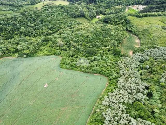 Sítio / Chácara para Venda em Almirante Tamandaré/PR Jardim Planalto