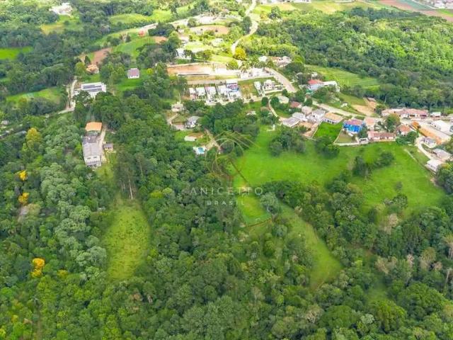 Sítio / Chácara para Venda em Almirante Tamandaré/PR São Miguel 2 Quartos