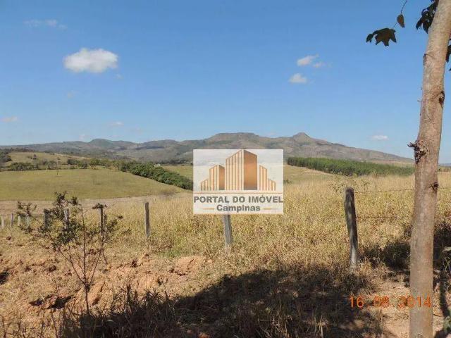 Sítio / Chácara para Venda em Alpinópolis/MG Centro 6 Quartos