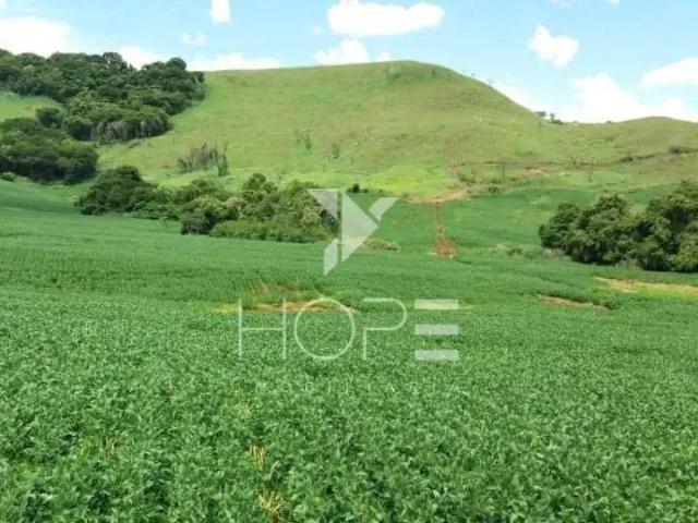 Sítio / Chácara para Venda em Apucarana/PR Área Rural de Apucarana 1 Quartos
