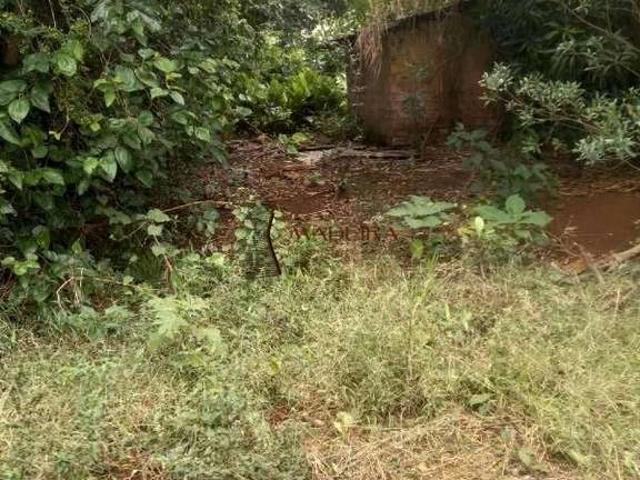 Sítio / Chácara para Venda em Apucarana/PR Área Rural de Apucarana