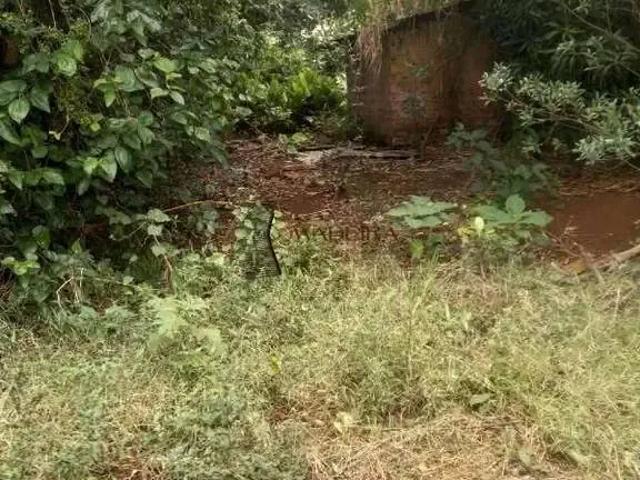Sítio / Chácara para Venda em Apucarana/PR Área Rural de Apucarana