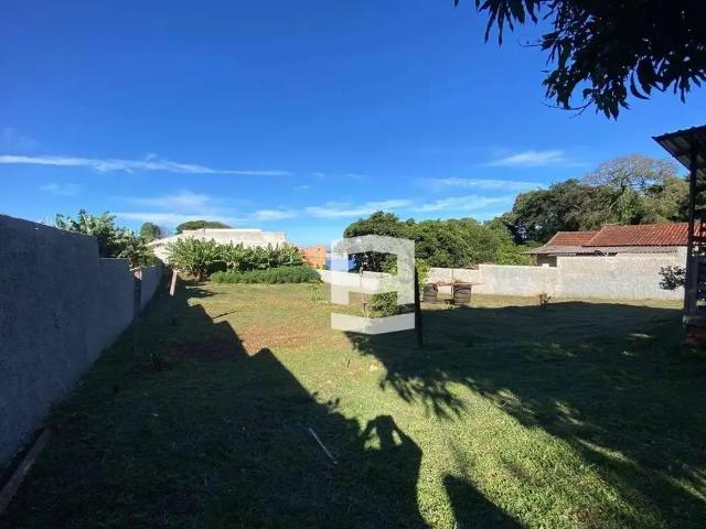 Sítio / Chácara para Venda em Apucarana/PR Núcleo Habitacional Parigot de Souza 3 Quartos