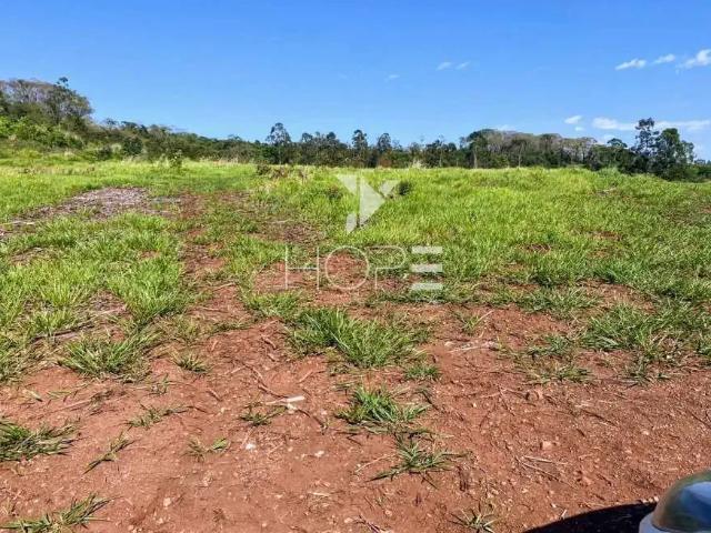 Sítio / Chácara para Venda em Apucarana/PR Área Rural de Apucarana 1 Quartos