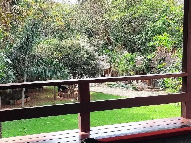 Sítio / Chácara para Venda em Aparecida de Goiânia/GO Rosa dos Ventos 3 Quartos