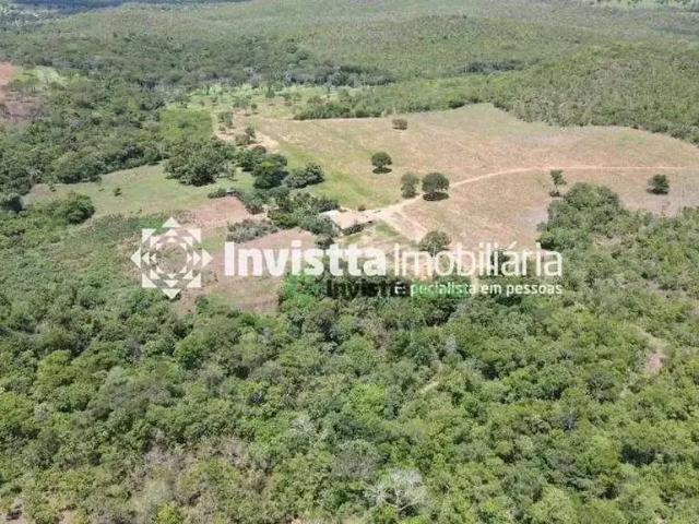 Sítio / Chácara para Venda em Aparecida do Rio Negro/TO Zona Rural