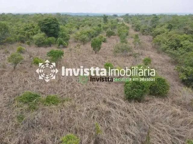Sítio / Chácara para Venda em Aparecida do Rio Negro/TO Zona Rural