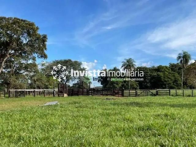 Sítio / Chácara para Venda em Aparecida do Rio Negro/TO Zona Rural