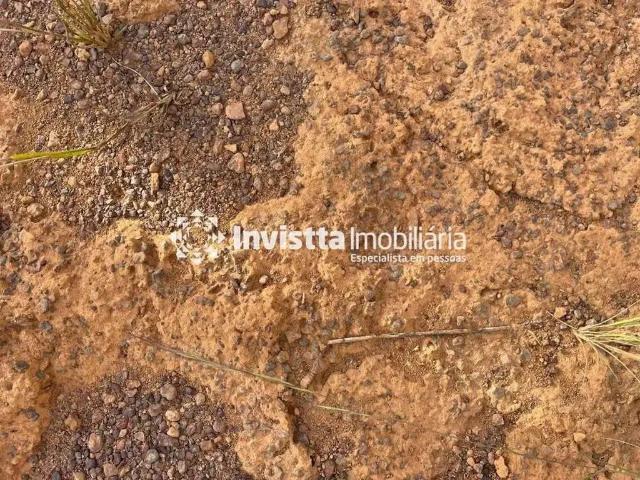 Sítio / Chácara para Venda em Aparecida do Rio Negro/TO Zona Rural