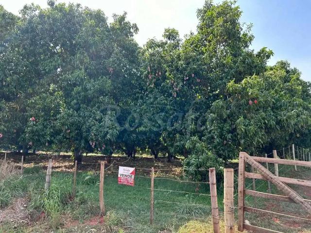 Sítio / Chácara para Venda em Aparecida D'Oeste/SP Zona Rural