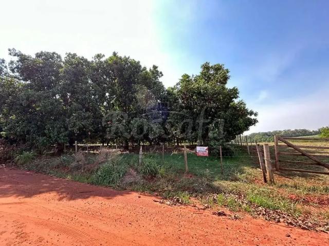 Sítio / Chácara para Venda em Aparecida D'Oeste/SP Zona Rural