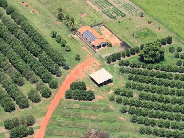 Sítio / Chácara para Venda em Aparecida D'Oeste/SP Zona Rural