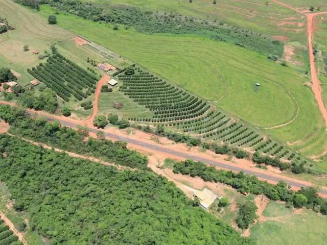 Sítio / Chácara para Venda em Aparecida D'Oeste/SP Zona Rural