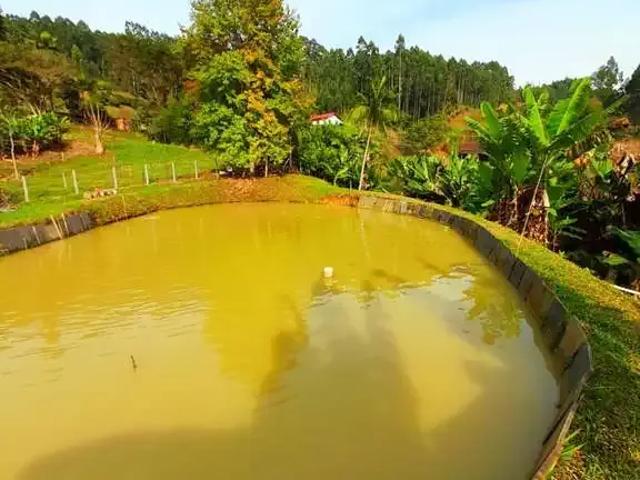 Sítio / Chácara para Venda em Apiúna/SC Santa Rosa