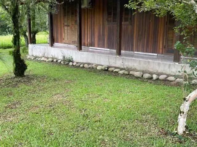 Sítio / Chácara para Venda em Apiúna/SC Zona Rural
