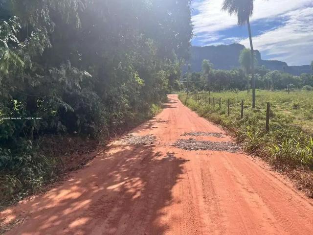Sítio / Chácara para Venda em Aquidauana/MS Camisão
