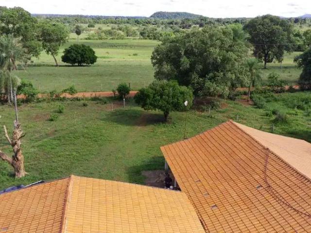 Sítio / Chácara para Venda em Aquidauana/MS Centro