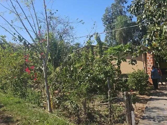 Sítio / Chácara para Venda em Aquidauana/MS Centro 2 Quartos