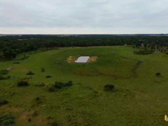 Sítio / Chácara para Venda em Aquidauana/MS Zona Rural