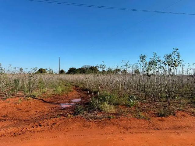 Sítio / Chácara para Venda em Artur Nogueira/SP Área Rural de Artur Nogueira