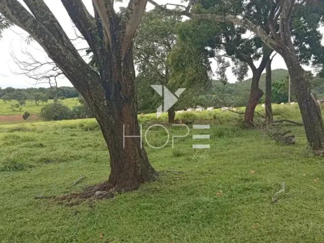 Sítio / Chácara para Venda em Aruanã/GO Zona Rural 1 Quartos